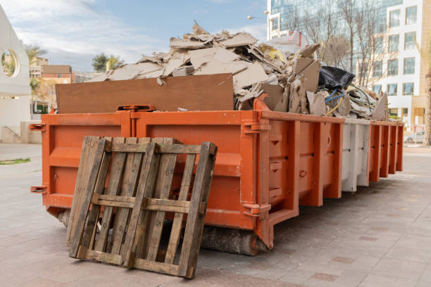 Yard Cleanup Services in Clyde, NC